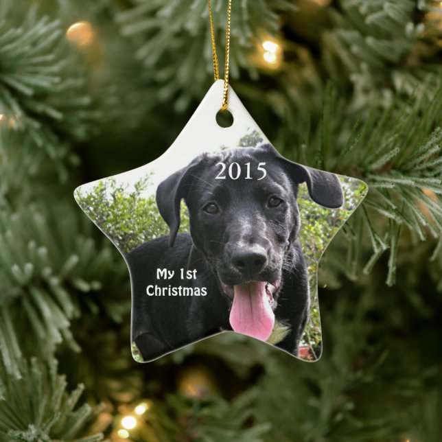 Chien Mon premier ornement photo de Noël (Arbre)