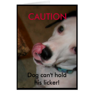 Chien ne peut pas tenir son licker !