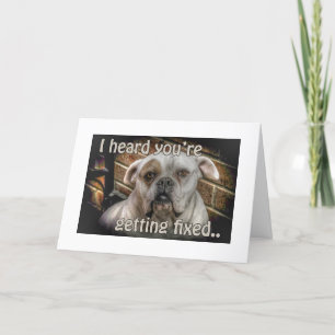 chien Neutre obtenir carte de puits