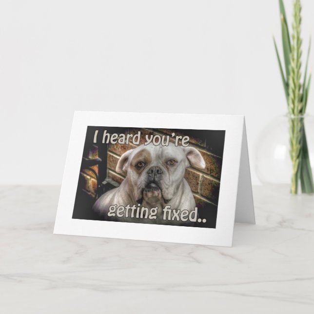 chien Neutre obtenir carte de puits (Devant)