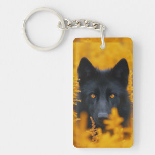 Chien noir aux yeux d'or étonnants