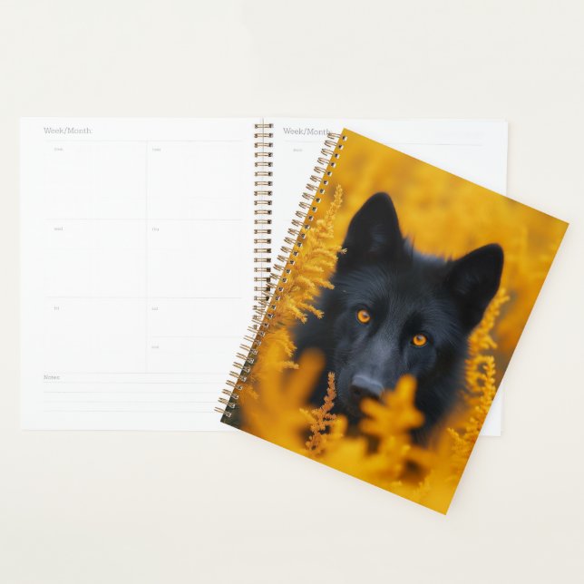 Chien noir aux yeux d'or étonnants (Devant avec enveloppe)