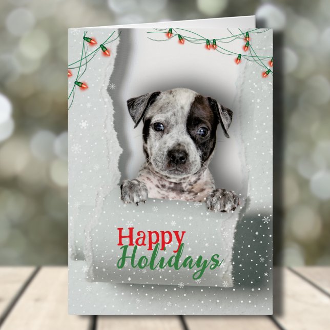 Chien Peeing Christmas Lights Carte de vacances (This cutecard with a pup peeking out of torn paper, wishing you a happy holiday season! With love!)
