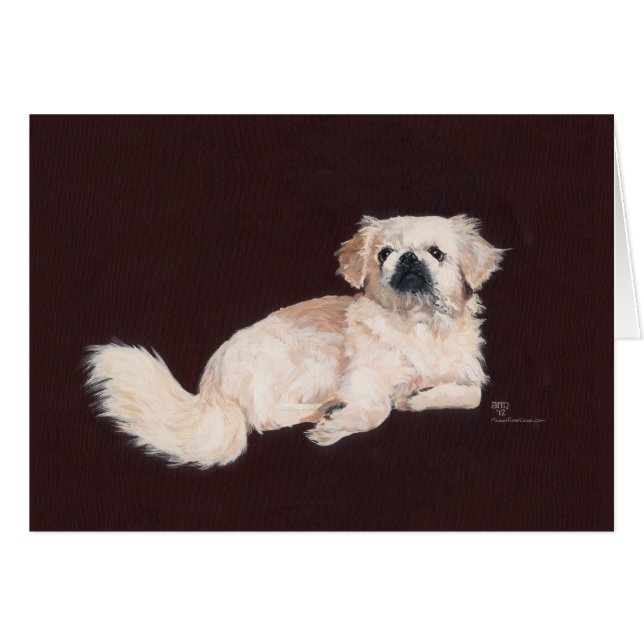 Chien pekingese blanc (Devant horizontal)