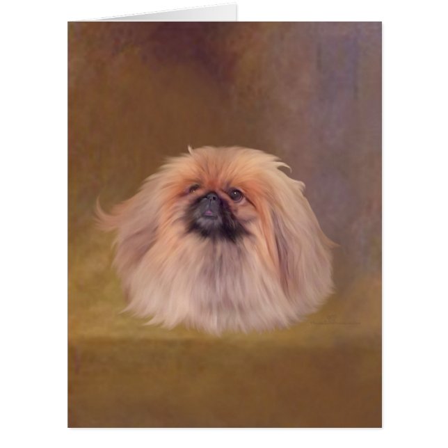 Chien Pékinois (Devant)