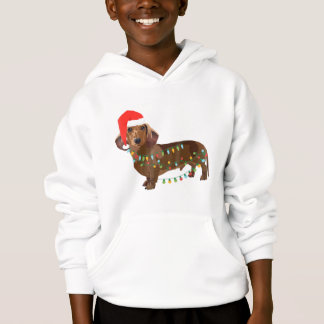 Chien père Noël Dachshund Tangé Dans La Lumière De