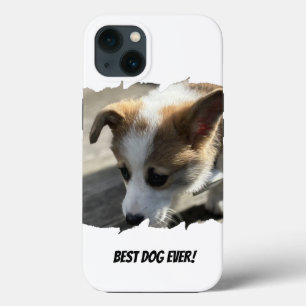Chien Photo Animal de compagnie Coque-Mate coque i