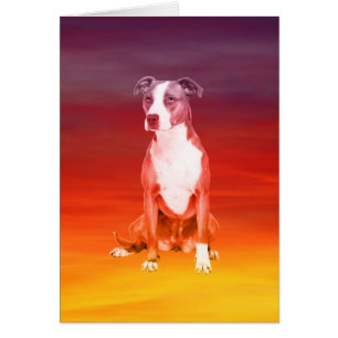 Chien Pitbull Assis Sur La Plage