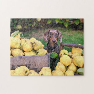 Chien Puzzles Animal Pic mignon Sad Chiot Photo