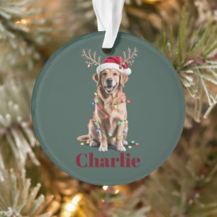 Chien Retriever Doré Noël Nom Personnalisé