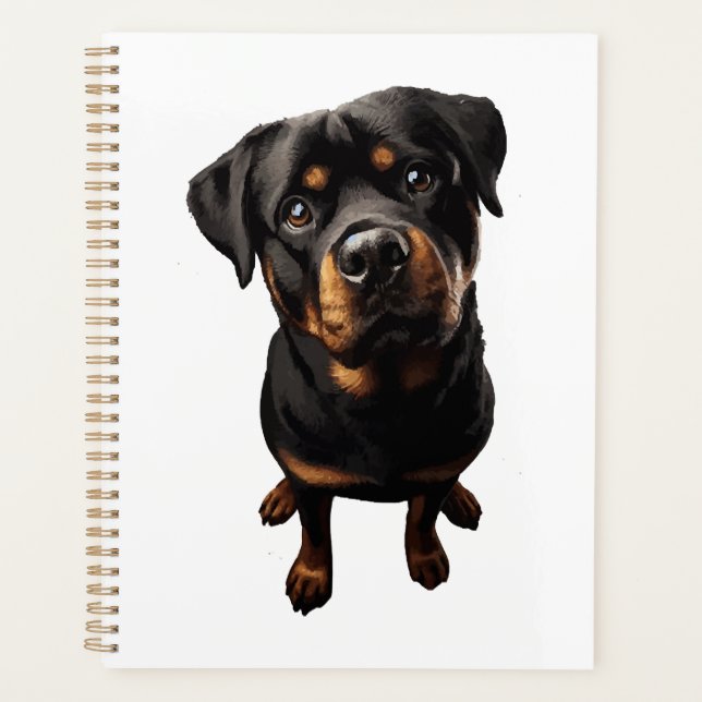 chien rottweiler (Devant)
