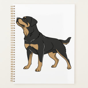 Chien Rottweiler, Chien Rottweiler Debout