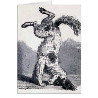 "Chien se tenant sur son principal "