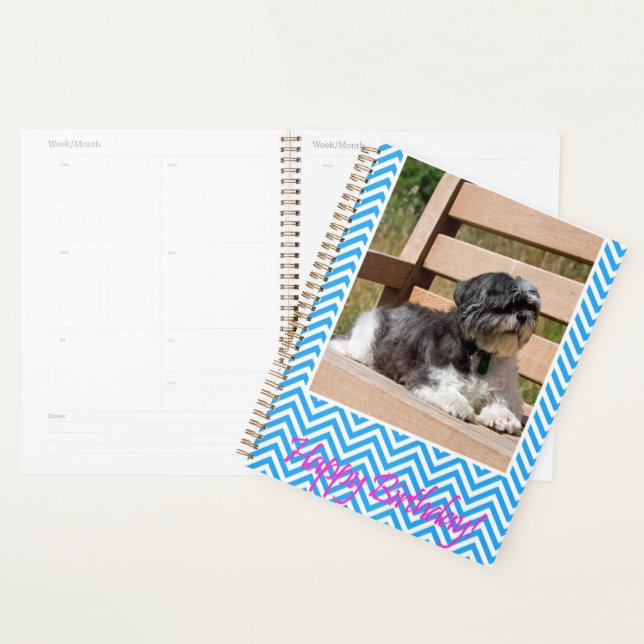 Chien Shih Tzu Joyeux anniversaire (Devant avec enveloppe)