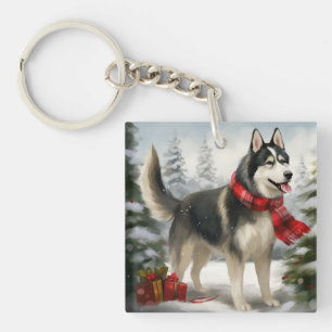 Chien sibérien Husky à Noël de neige