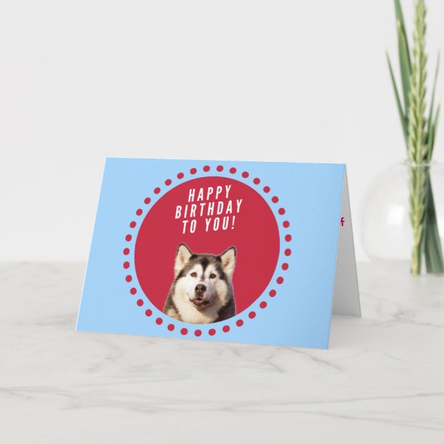 Chien sibérien Husky Heureux Carte de voeux d'anni (Devant)