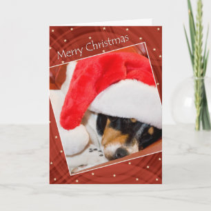 Chien Snooing À Santa Hat Carte de Noël