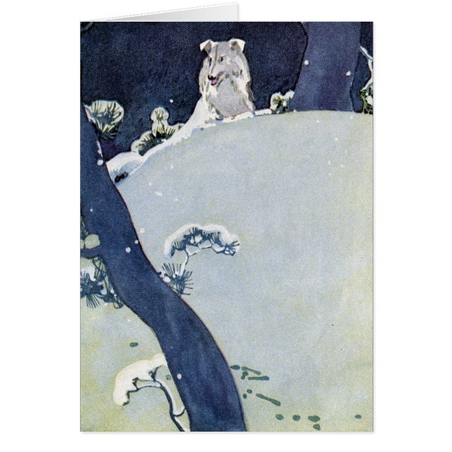 Chien sous des pins de Milou (Devant)