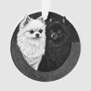 chien spitz japonais