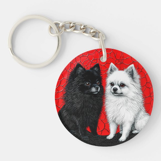 chien Spitz japonais (Devant)