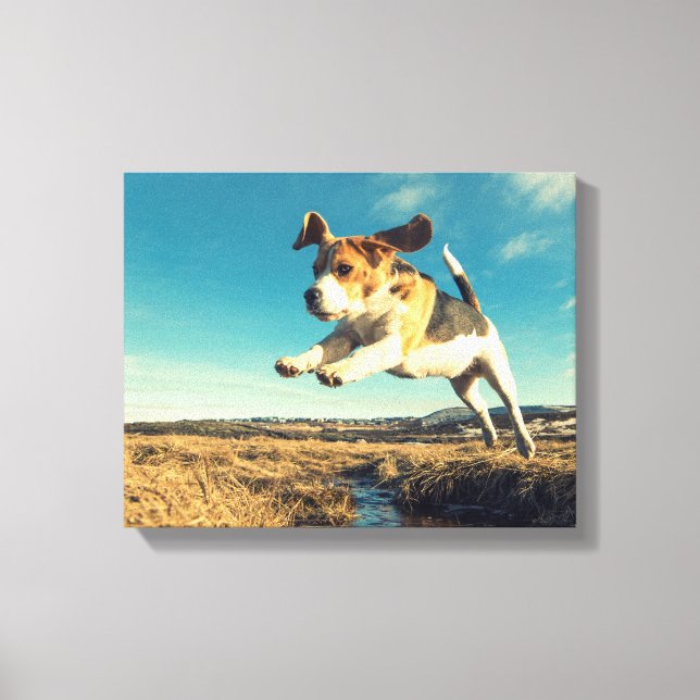 Chien super Beagle - Toile à enveloppement de qual (Recto)