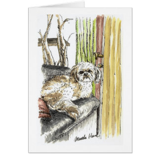 Chien sur des cartes de divan