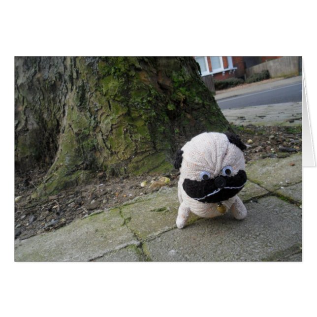 Chien sur un trottoir (Devant Horizontal)