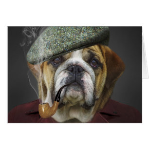 Chien taureau avec Casquette et tuyau