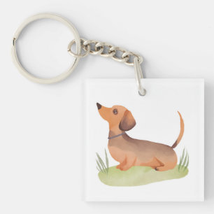 Chien teckel   Aquarelle de chien mignon