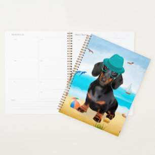 Chien teckel sur la plage 