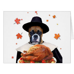Chien Thanksgiving Boxer