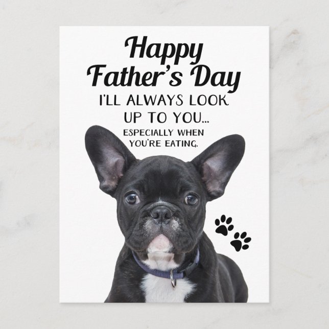 Chien Toujours Chercher Sur Vous Carte Postale Fêt (Devant)