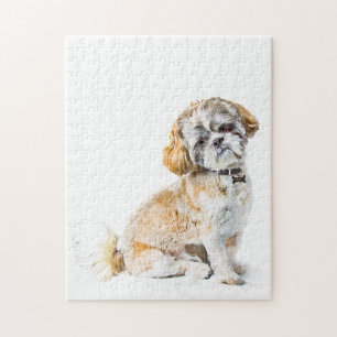 Chien Tzu Puzzle