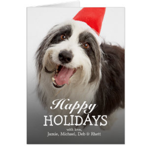 Chien utilisant le casquette de Père Noël