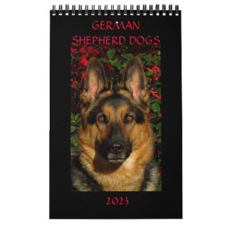 CHIENS ALLEMANDS SHEPHERD - Calendrier d'une page