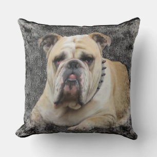 Chiens, bulldogge anglais, sombre, coussin