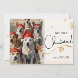 Chiens carte de voeux de Noël