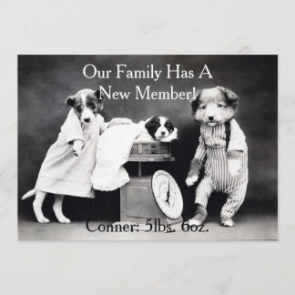 Chiens de B&W vintages Nouveau Faire-part de chiot