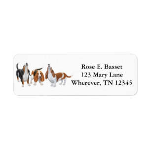 Chiens de basset de chant étiquette
