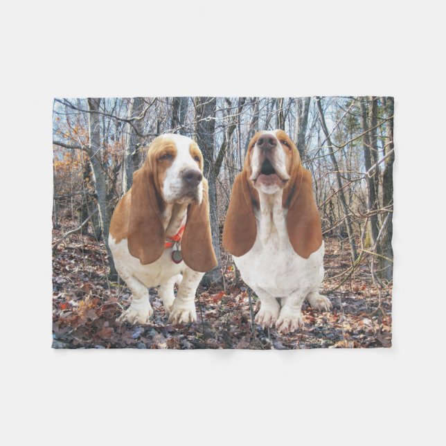 Chiens de Basset Hound dans la couverture (Devant (Horizontal))
