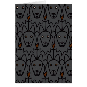 Chiens de berger belges