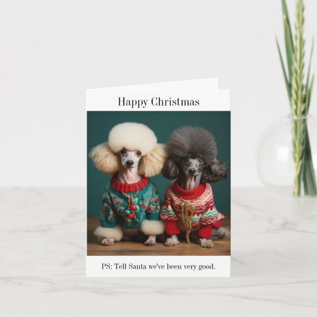 Chiens de caniche Carte de Noël (Devant)