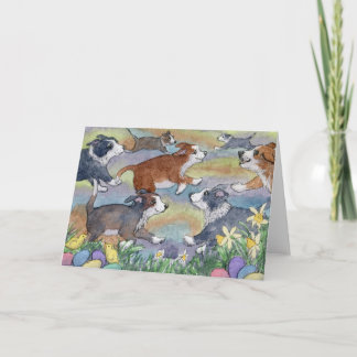 Chiens de chasse aux oeufs, carte Collie frontaliè