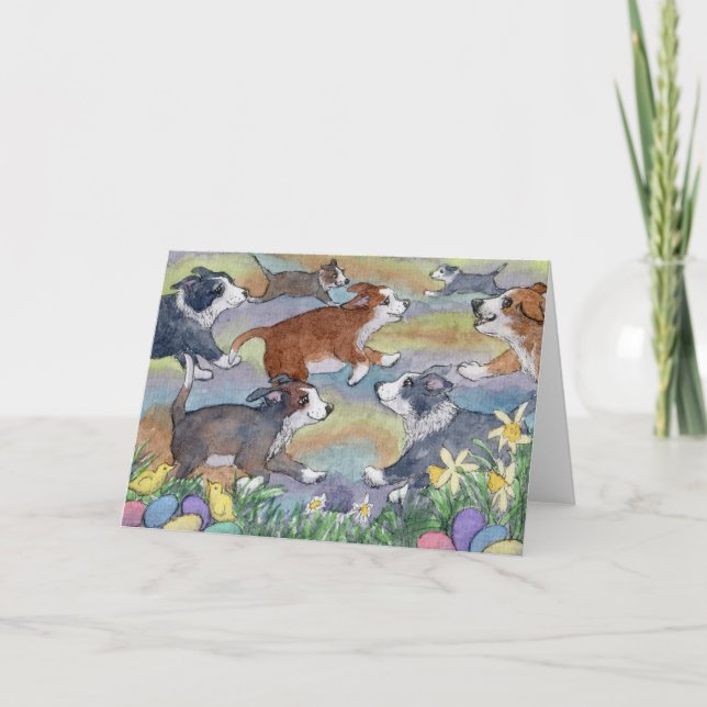 Chiens de chasse aux oeufs, carte Collie frontaliè (Devant)