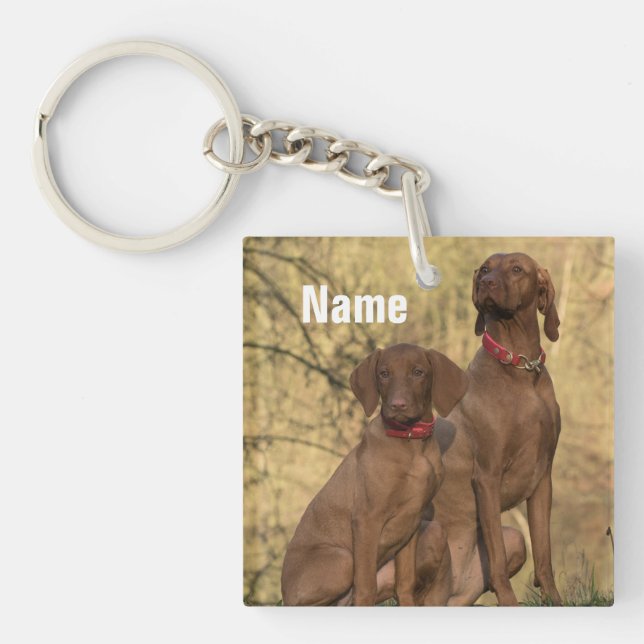 Chiens de la cage de Vizsla personnalisés (Devant)