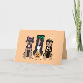 Chiens De Merci En Costumes Halloween