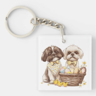 Chiens de Pâques Chih Tzu