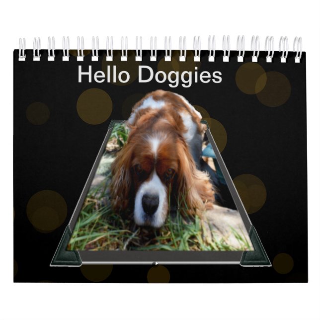 Chiens de races, Calendrier (Protection)