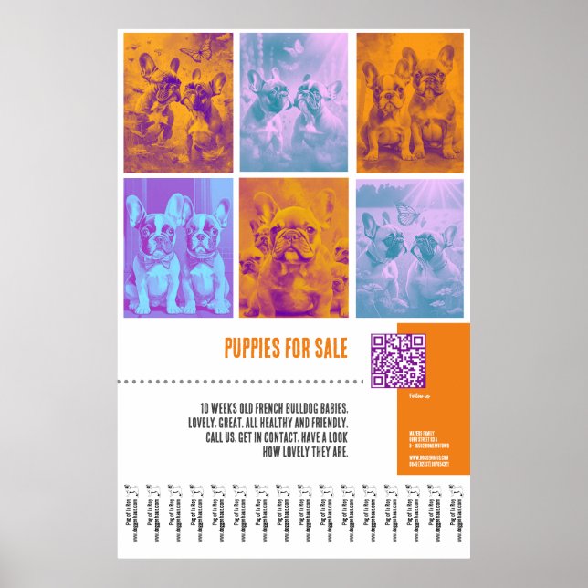 Chiens de taureau français en vente énorme poster (Devant)