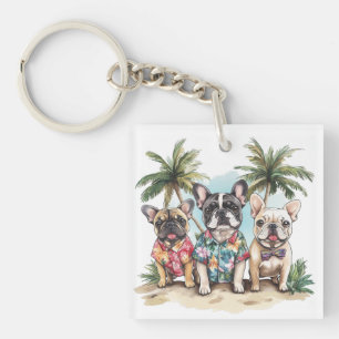 Chiens de taureaux français portant des chemises h